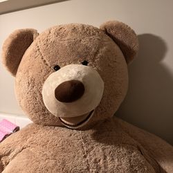 Giant Teddy Bear