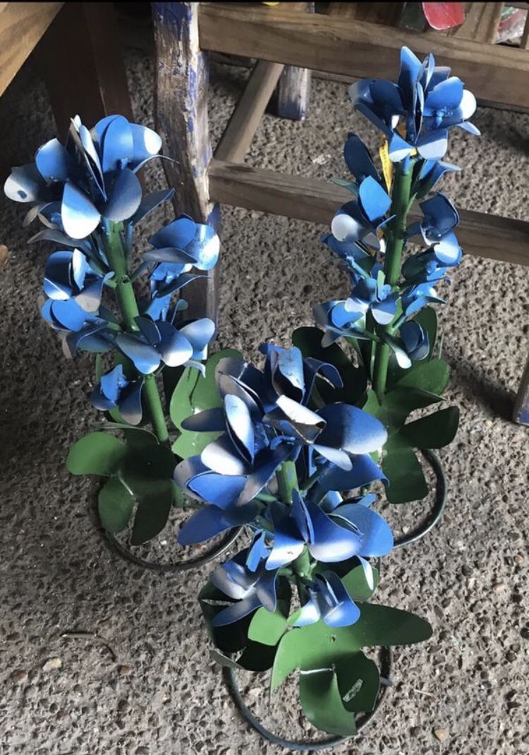 The State Flower Of Texas Beautiful Bluebonnet $25 ea 