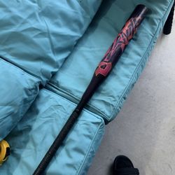 2025 Demarini Zenith