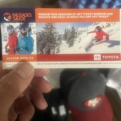 2 Palisades Day Tickets 