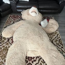 Teddy Bear