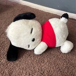 Pochacco plush