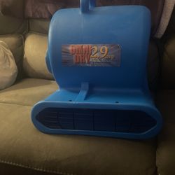 Omni Dry 2.9 Amp 1/3 Horsepower