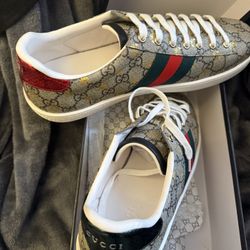 Gucci Supreme 