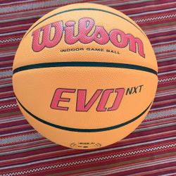Wilson Evo Nxt Basketball Official Size 