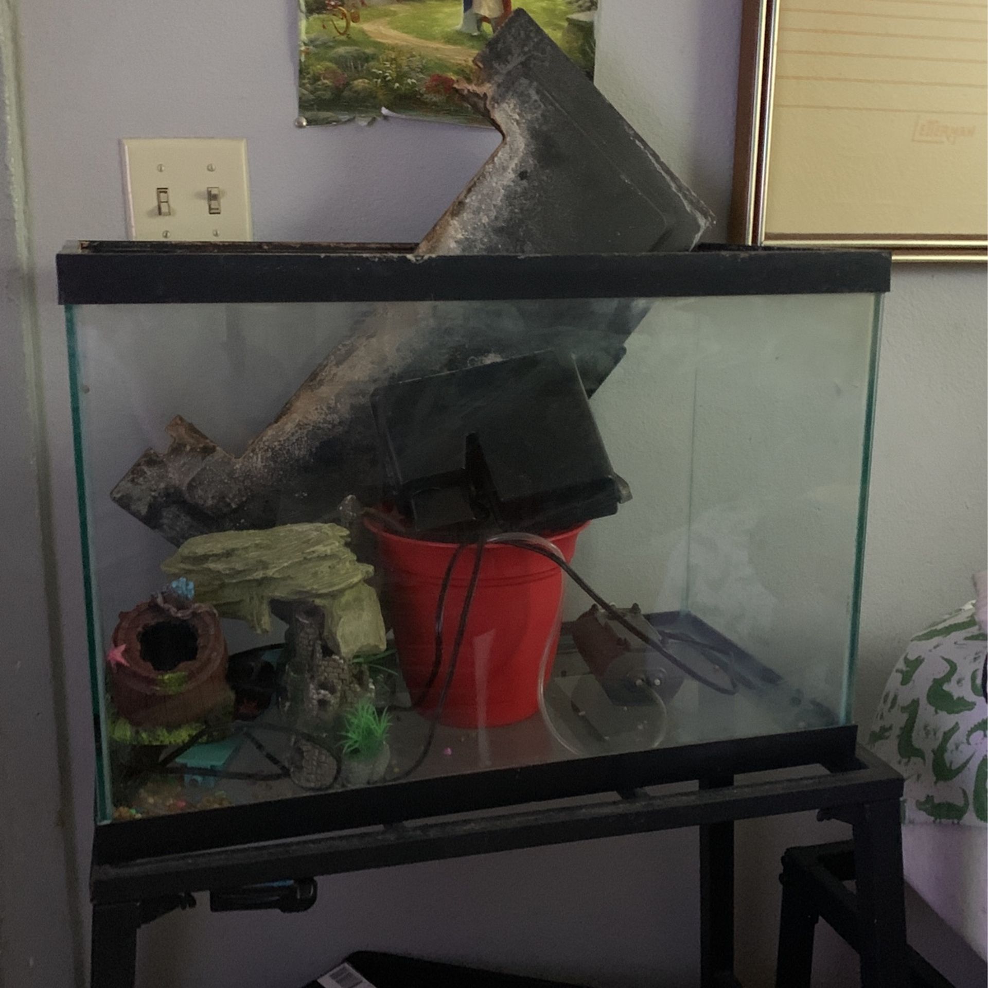 Fish Tank