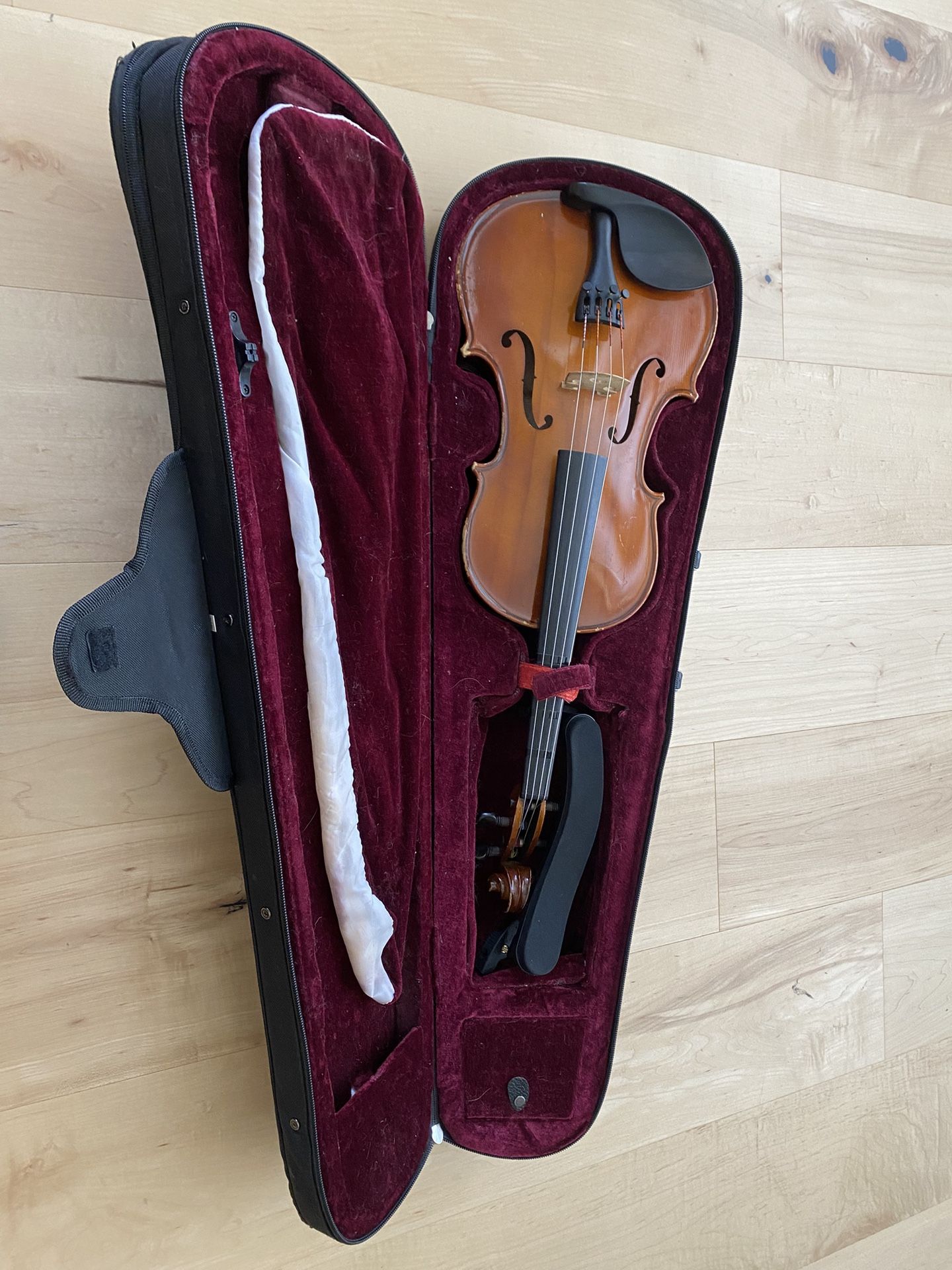 Viola 14in