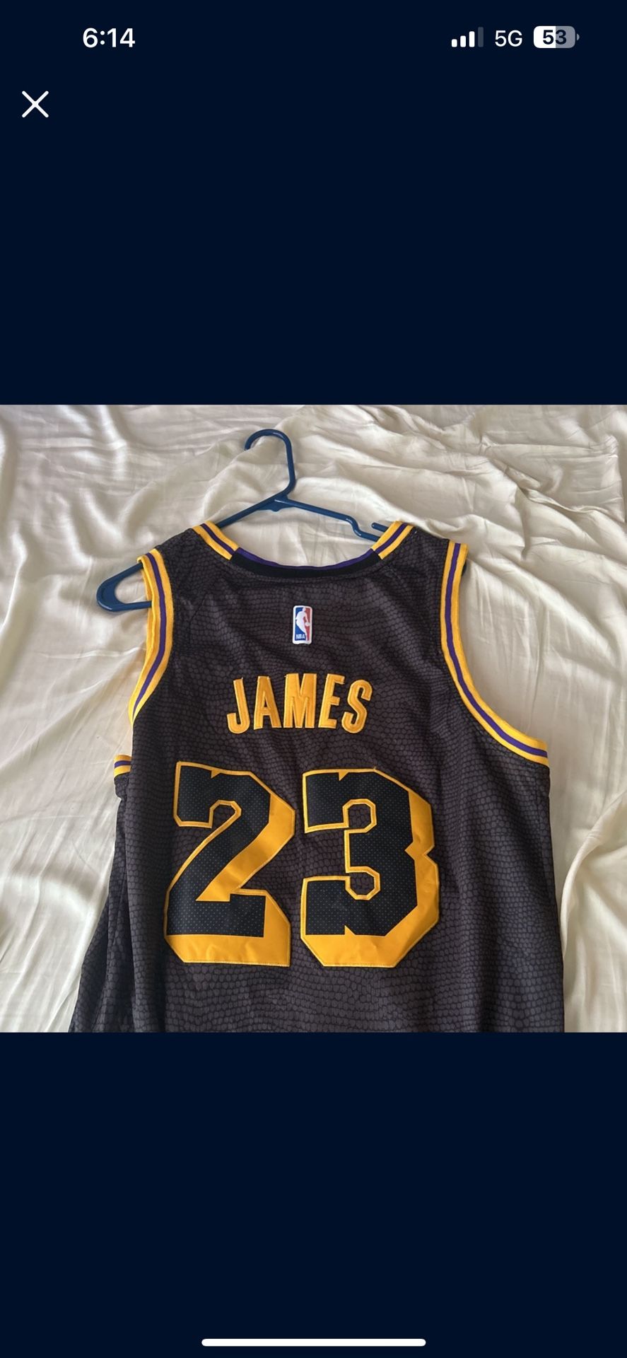 lebron james jersey adult