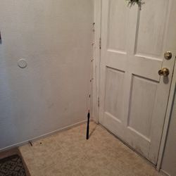 Fishing Rod 