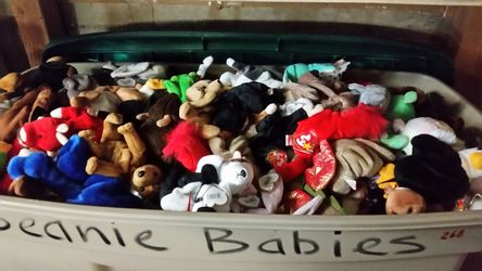 Beanie buddy's & Beanie baby's