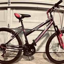 Rallye Descent Jr. Size Hybrid Trail Bike 