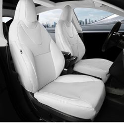Tesla Seat Covers