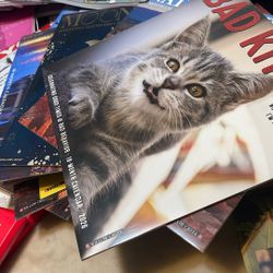 Assorted 2026 Calendars