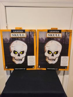 Light Up  Skull Wall/Window Decor