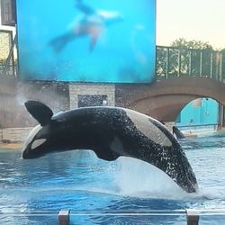 Sea World Tickets