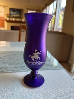 Medieval Times Dinner & Tournament Souvenir 16oz Goblet Frosted Glass