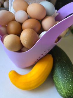 Fresh, free-range chicken and duck eggs, gathered daily