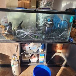 100 Gallon tank