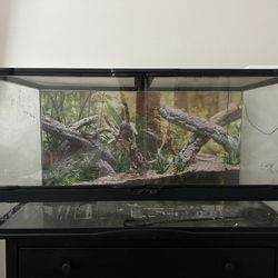 Reptile Cage