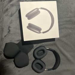 Apple Headphones 