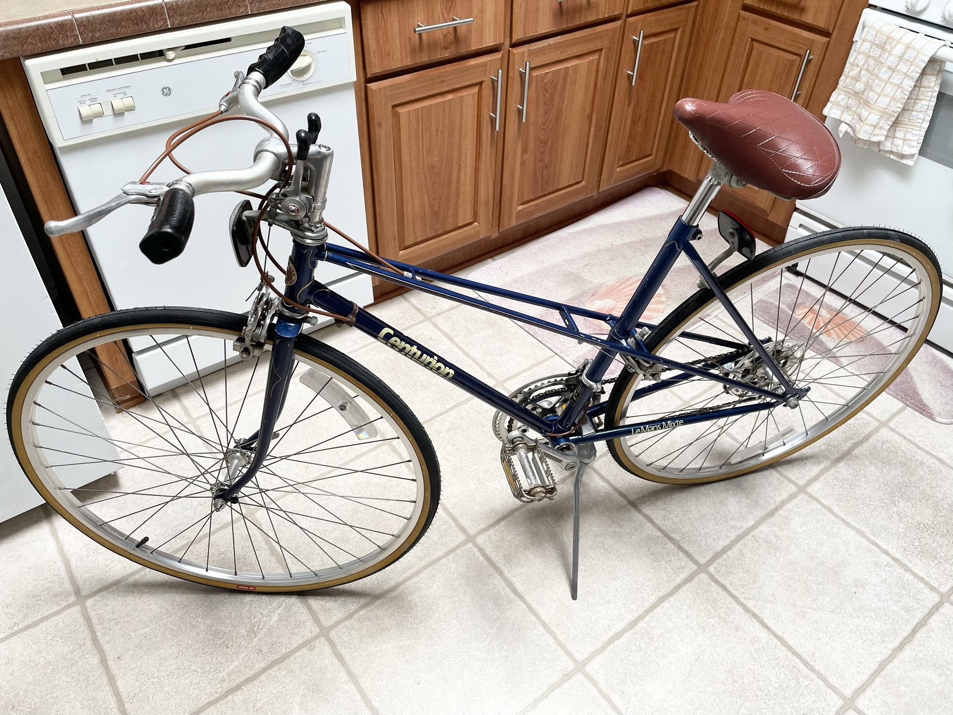 Vintage 1970 Centurion Lemans Mixte