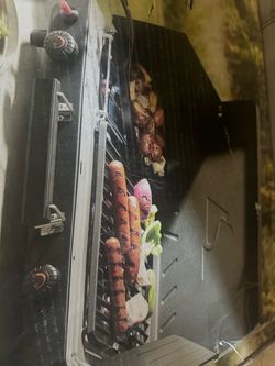 Portable Propane Gas Grill