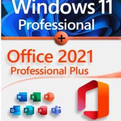 Windows 11 Pro USB WITH UEFI SYSTEM OFFICE 2021 INTEGRATED