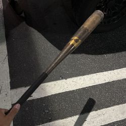 Baseball Bat