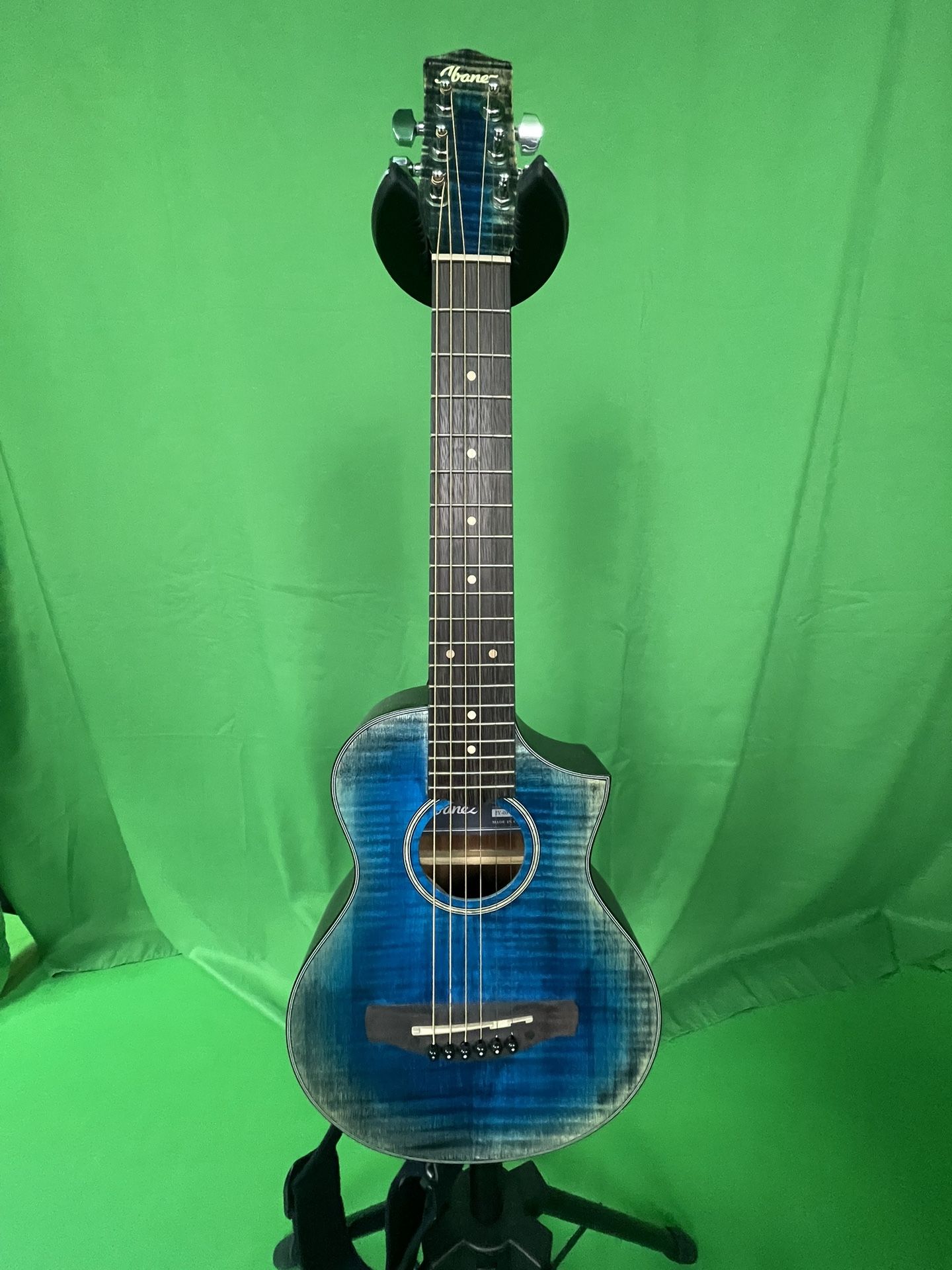 Ibanez Acoustic Guitar