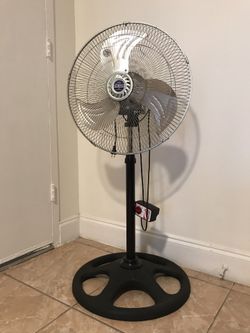Fan