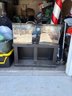Large Glass Aquarium Tank with Stand