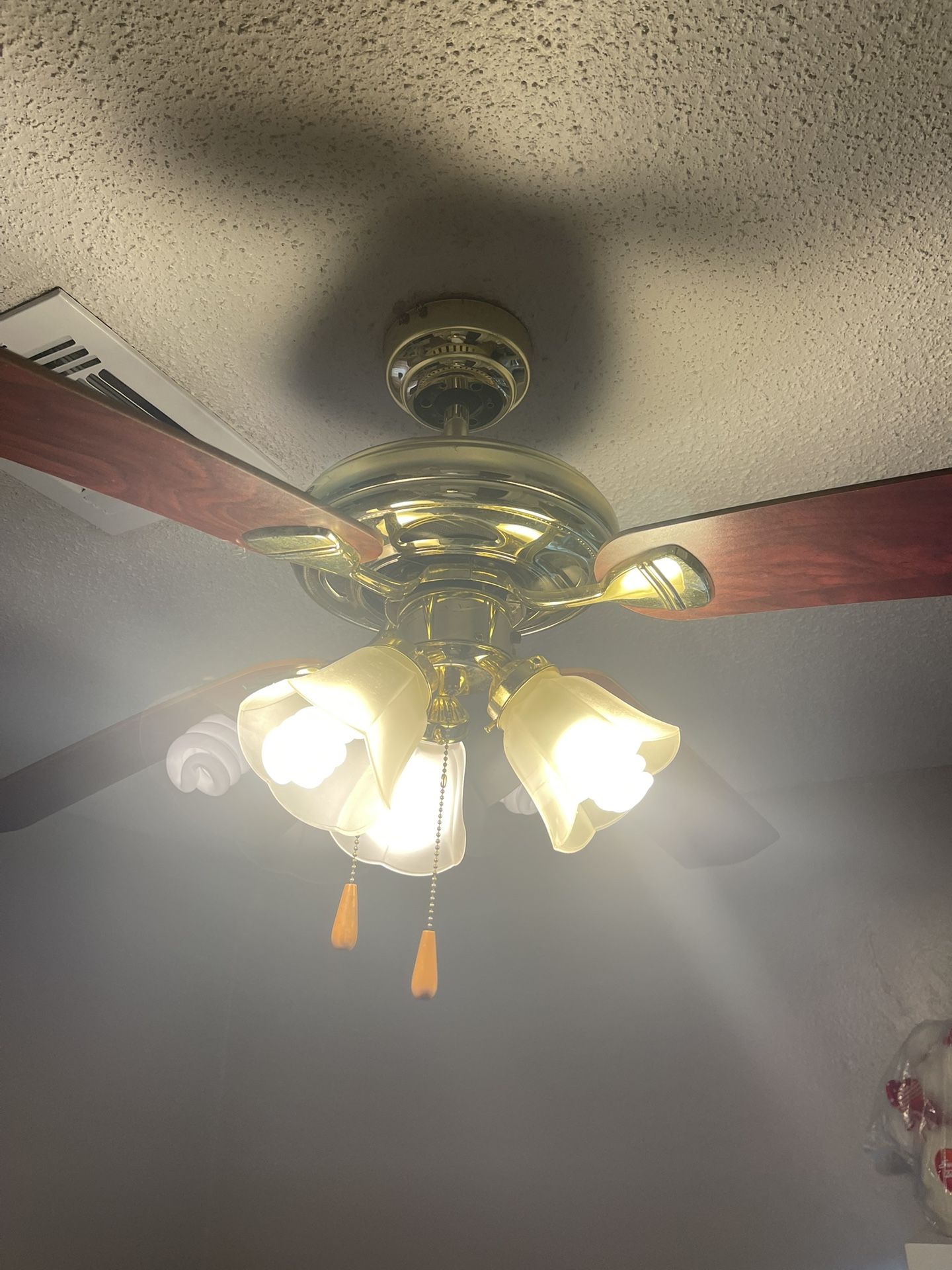 Ceiling fan -Free
