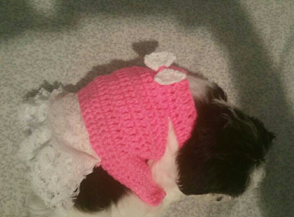 Vestidos para perritos