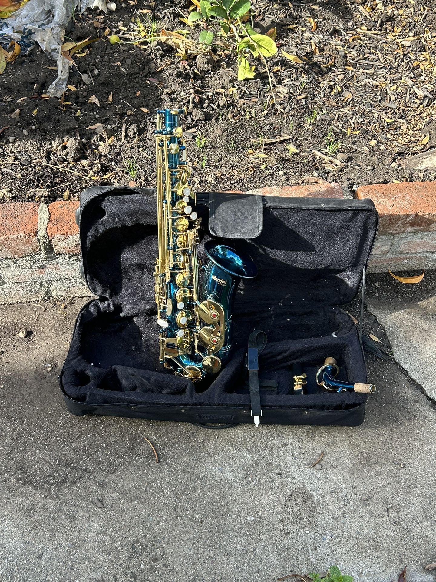 Beautiful all saxophone