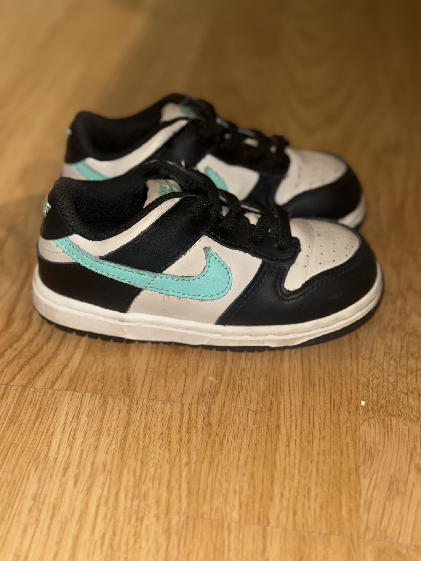 Toddler Nike Dunks