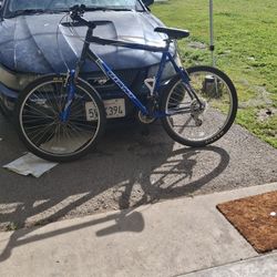 Giant Mountain Bike 