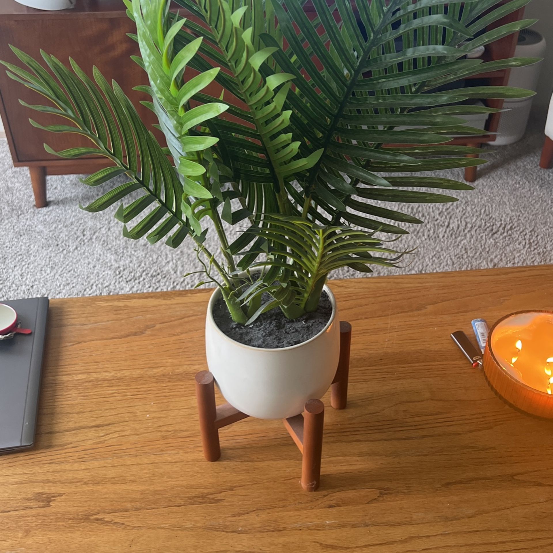 Fake Plant