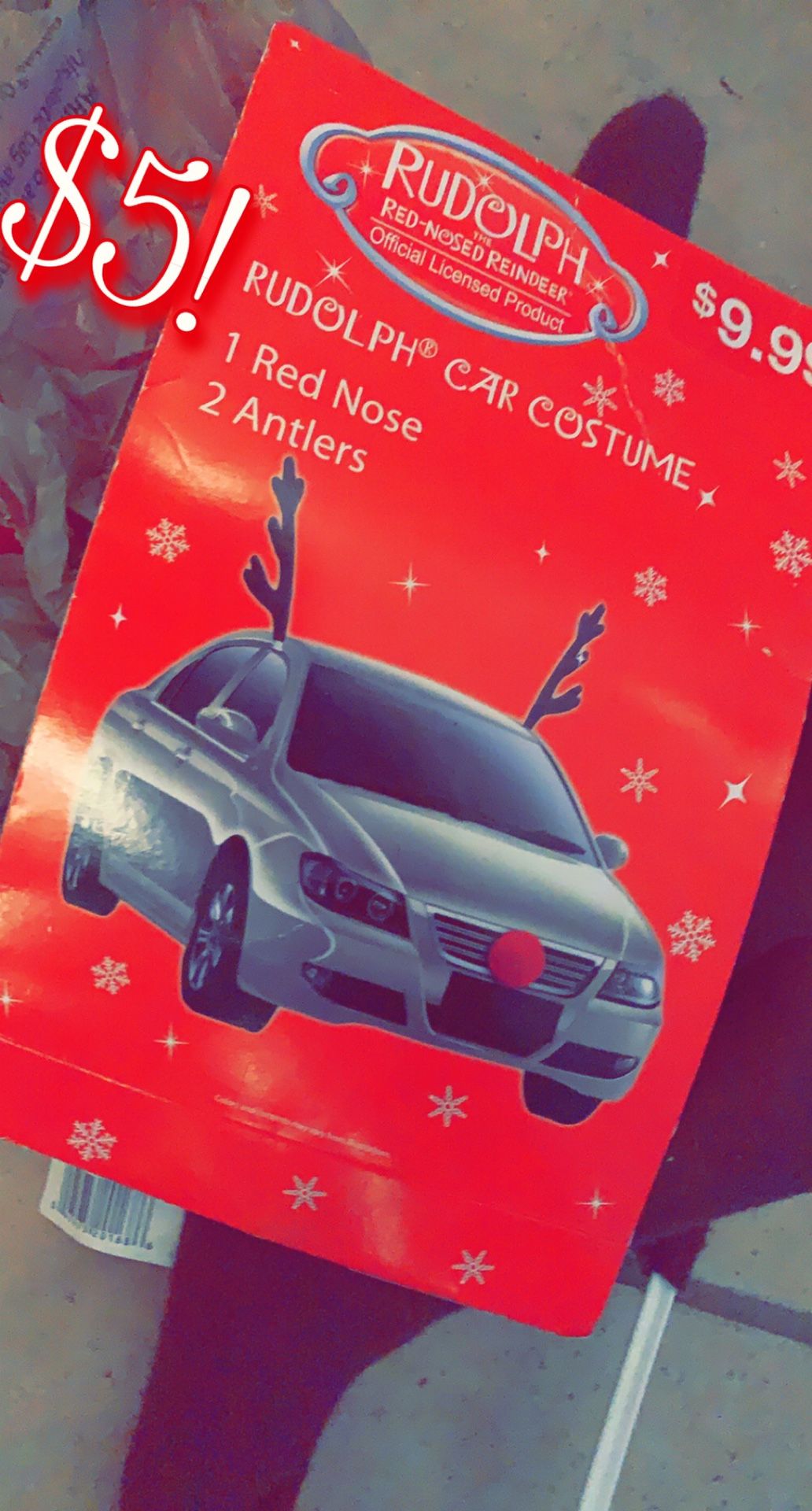 $5!!!! holiday Car Costume