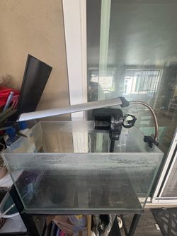 2 fish tanks (10- and 20-gallon sizes)