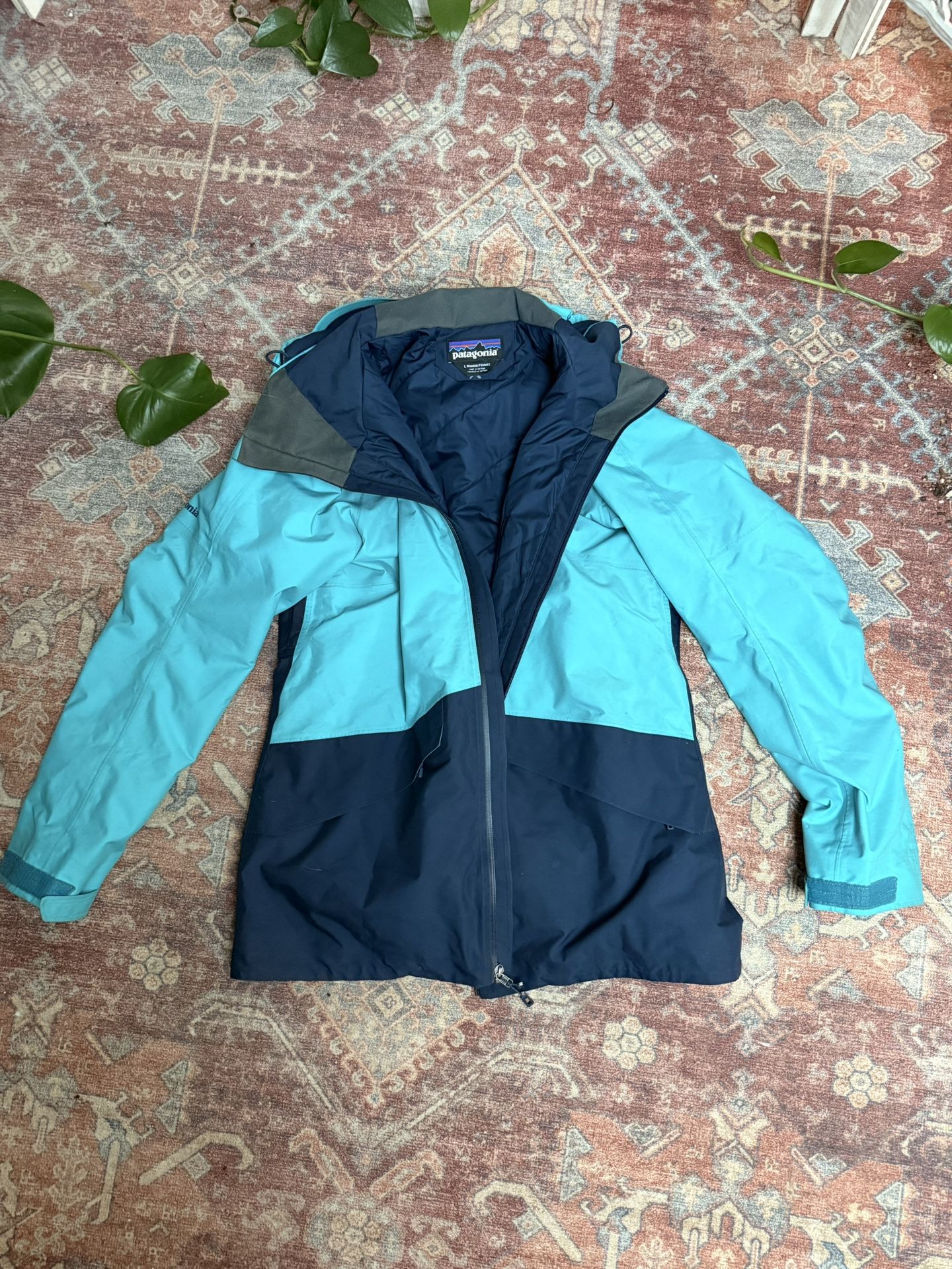 Patagonia Ski Jacket