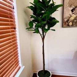 Studio McGee Threshold Ficus Tree Artifical Life Like Plant With Vase