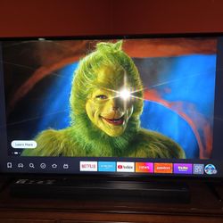 Vizio 55Inch TV