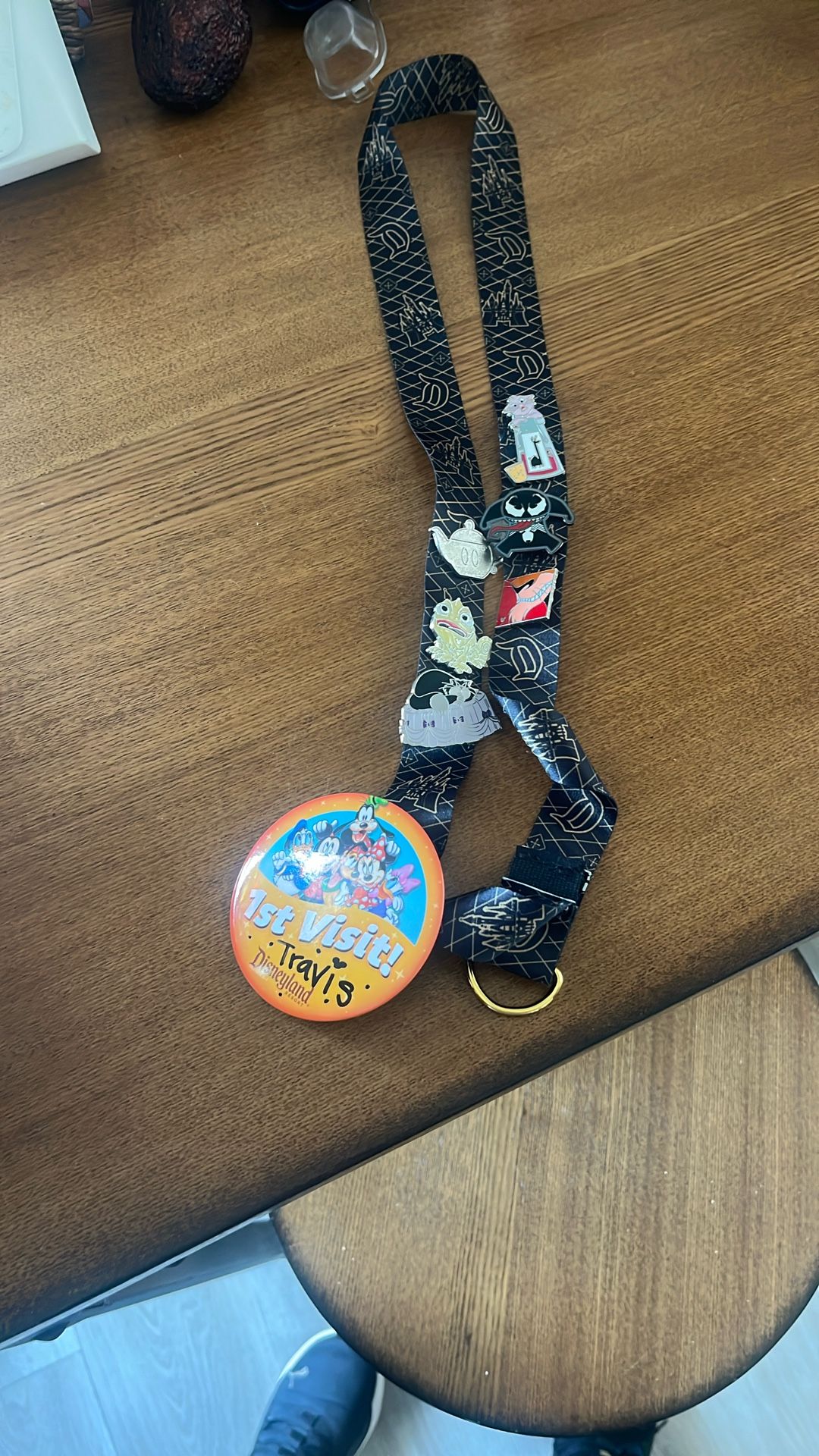 Disneyland Lanyard And Pins