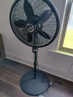 Fan