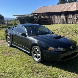 2002 Ford Mustang GT