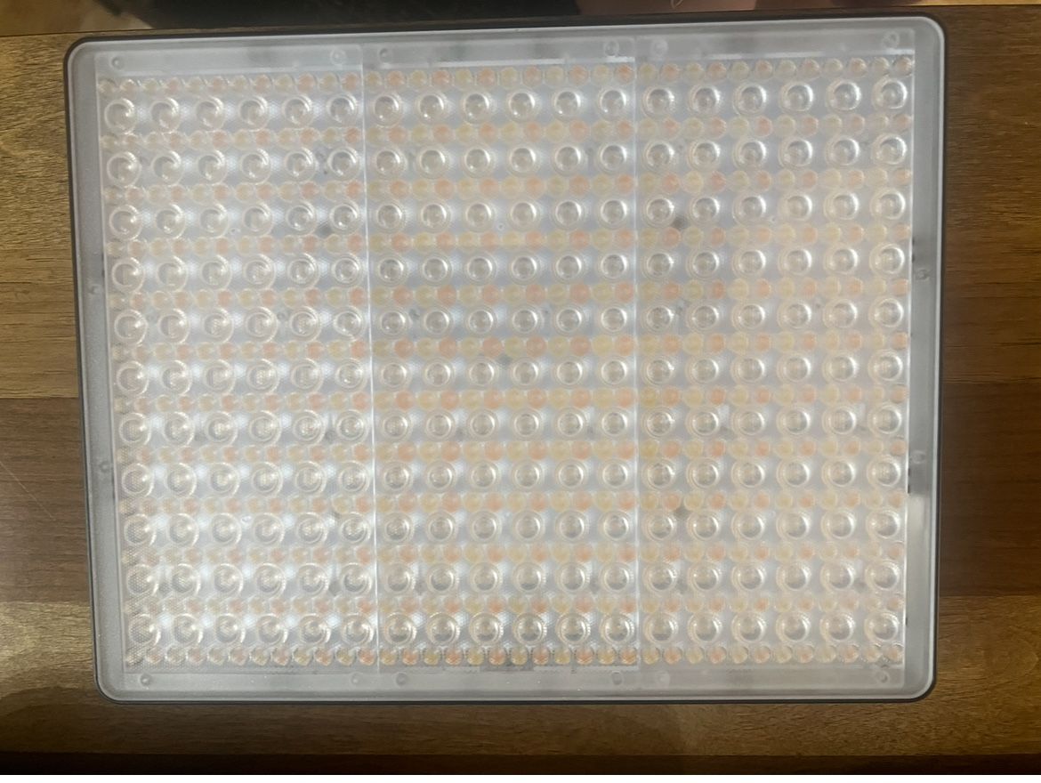 AMARAN P60C LED LIGHT - EXCELLENT CONDITION