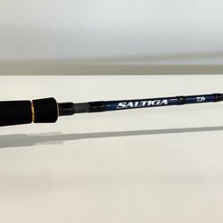 Saltiga Travel Jigging Spinning Rod