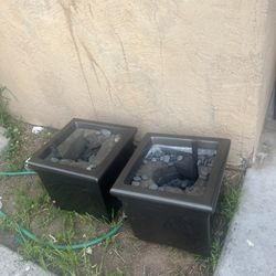 Plant Base With Water Tube And Foam