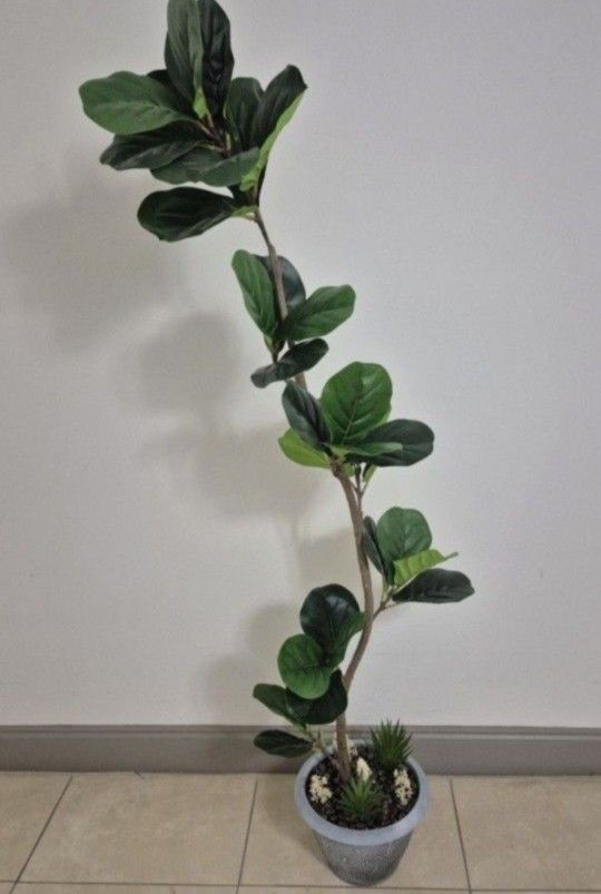 *** NEW LOW PRICE *** 64" Faux Fiddle Leaf Fig Tree w Strawberry Agate Stone / Succulents / Lavender in a 11" Blue Circle Planter @ Lasting Creations