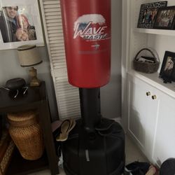 Wave Master Century Punching Bag